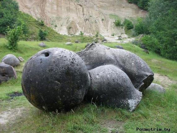 Живые камни